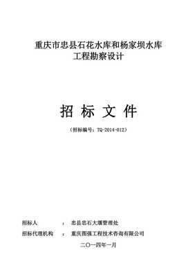 重慶某水庫(kù)工程勘察設(shè)計(jì)招標(biāo)文件——工程勘察設(shè)計(jì)專業(yè)分析